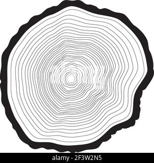 Arrière-plan des anneaux de l'arbre. Arbre annuel Illustration de Vecteur