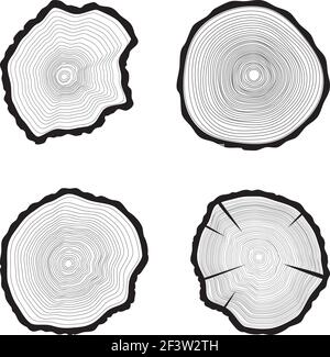 Définir l'arrière-plan des anneaux de l'arbre. Arbre annuel Illustration de Vecteur