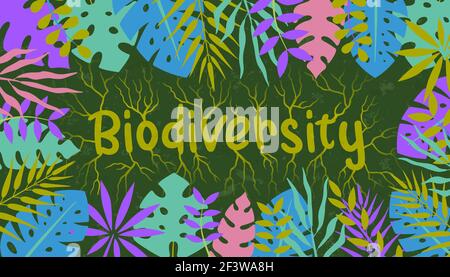 Biodiversité texte citation signe fait de racines vertes d'arbre avec des feuilles colorées de plante. Idée d'aide à la vie sauvage ou illustration de l'éducation aux soins de la nature. Illustration de Vecteur