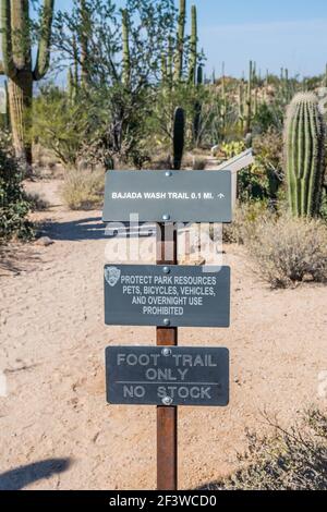 Saguaro NP, AZ, Etats-Unis - 16 novembre 2019 : le Bajada Wash Trail Banque D'Images