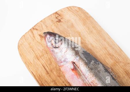 Poisson de mer aux yeux rouges sur un plateau de cuisine en bois sur fond blanc, isoler. Gros plan, macro, prise de vue en studio Banque D'Images
