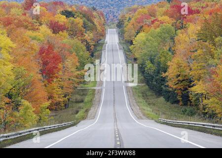 Couleurs d'automne le long de HighwayUpper Penninsular, Michigan USA LA004354 Banque D'Images