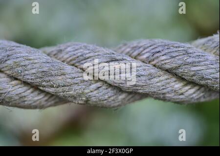 Belle vue rapprochée de l'ancienne corde de fibres naturelles communes sur fond de ressort vert avec une mise au point douce et sélective. Clôture en corde et bordure dans le jardin Banque D'Images