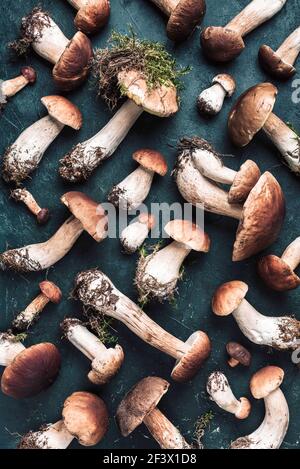 Champignons Boletus edulis sur fond sombre. Copier l'espace. Vue de dessus. Nourriture biologique, champignons Porcini fraîchement cueillis comestibles. Concept de récolte d'automne Banque D'Images