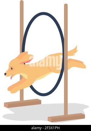Spaniel doré sautant à travers le cerceau plat couleur vecteur caractère détaillé Illustration de Vecteur