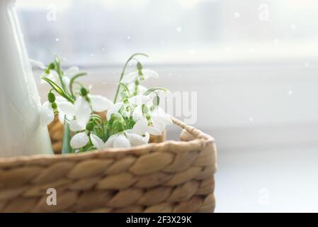 Gros plan sur des gouttes de neige fraîches dans un panier en osier, sur une table exposée à la lumière du soleil. Espace de copie Banque D'Images