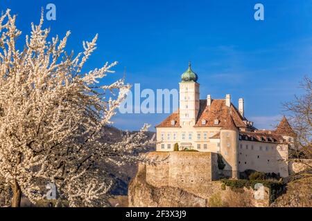 Le château médiéval de Schonbuhel, construit sur un rocher au-dessus du Danube au printemps dans la vallée de Wachau, paysage culturel de l'UNESCO, Autriche Banque D'Images