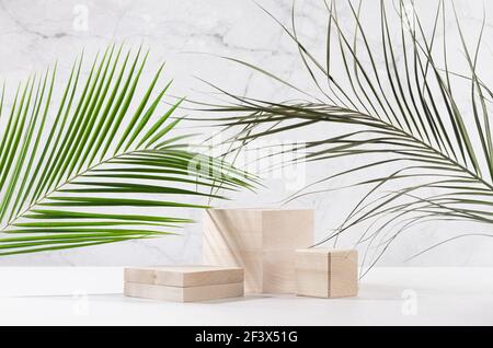 Style tropical écologique pour la présentation et l'exposition des produits - podiums en bois avec feuilles de palmier vertes au soleil sur bois blanc et mur en marbre gris. Banque D'Images