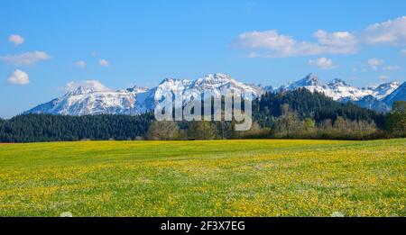 Beau printemps dans la Bavière Allgäu Banque D'Images