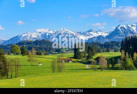 Beau printemps dans la Bavière Allgäu Banque D'Images
