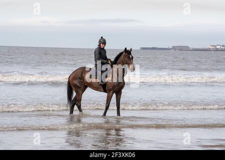 Sea Horse Newton Beach Porthcawl / Bridgend Banque D'Images