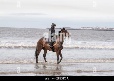 Sea Horse Newton Beach Porthcawl / Bridgend Banque D'Images