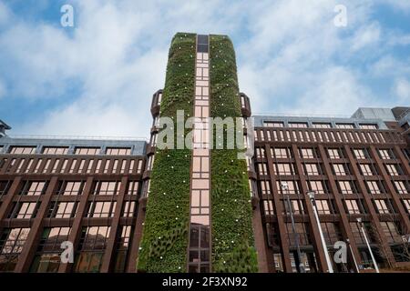 Mur vivant sur Dukes court, un immeuble de bureaux de 40 mètres de haut dans la ville de Woking, Surrey, Angleterre, Royaume-Uni, recouvert de plantes vertes Banque D'Images