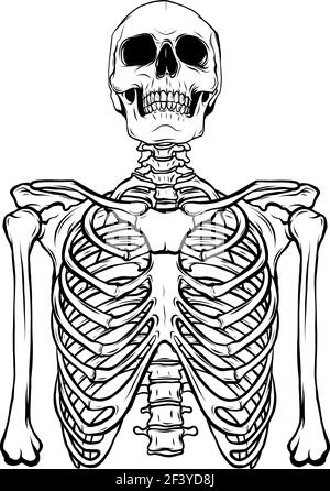 Dessiner en noir et blanc du squelette humain sur blanc illustration vectorielle d'arrière-plan Illustration de Vecteur