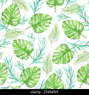 Aquarelle florale été tropical sans couture avec feuilles de palmier vertes sur fond blanc. Motif tropical d'été aquarelle sans coutures Banque D'Images