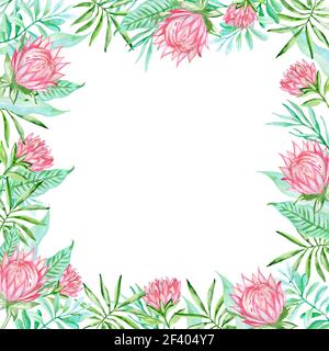 Cadre floral d'été aquarelle avec fleurs tropicales roses et feuilles de palmier vertes sur fond blanc. Arrière-plan tropical aquarelle avec fleurs Banque D'Images