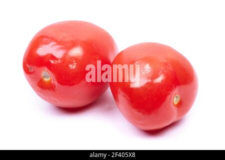 Petite tomate avec moule isolée sur fond blanc Banque D'Images