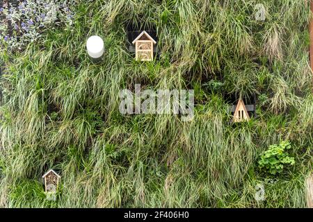 Détail d'un mur vivant sur Dukes court, un grand immeuble de bureaux dans la ville de Woking, Surrey, Angleterre, Royaume-Uni, recouvert de plantes vertes et de maisons d'insectes Banque D'Images