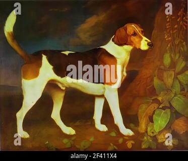 George Stubbs - Foxliver Ringwod 1792 Banque D'Images