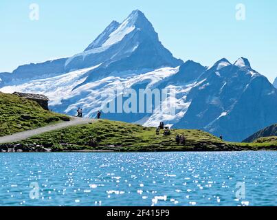 Suisse, Grindelwald. Vue sur les montagnes et le lac, First-Bachalpsee-Faulhorn. Cette randonnée offre une vue magnifique sur le Groupe Schreckhorn Banque D'Images