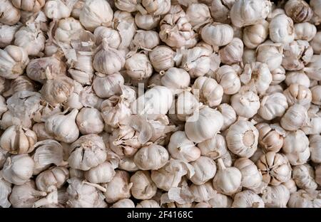 Texture de la pile d'ail blanc. Photo de clôture de la table de l'ail frais sur le marché. Film de têtes d'ail blanc. Vue du dessus du tas de la tête d'ail blanche. Texture de la pile d'ail blanc. Photo de clôture de la table de l'ail frais sur le marché. Pile de têtes d'ail blanches. Banque D'Images