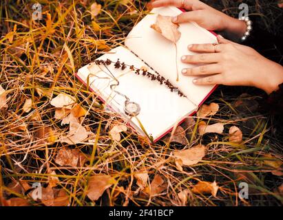 Collection de photos vintage de poésie qui maintient une fille couché dans l'herbe d'automne, les pages du livre sont propres, le lama se trouve une branche et un médaillon rétro. Photo vintage d'une collection de poésie qui maintient une fille dans l'herbe d'automne Banque D'Images