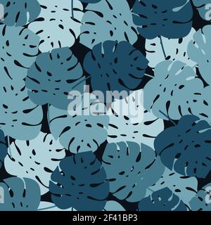 Motif sans couture sur les feuilles de la monstère Banque D'Images