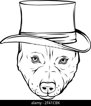 dessinez en noir et blanc le chien pitbull avec un chapeau illustration vectorielle Illustration de Vecteur