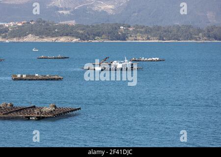 Bateau de moules naviguant entre la plateforme en bois de moules appelée batea. Paysage marin. RIAS Baixas, Galice, Espagne Banque D'Images