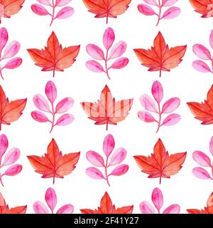 Automne aquarelle transparente avec motif floral érable rouge. Hand drawn nature background Banque D'Images