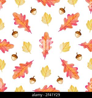 Automne aquarelle transparente avec motif floral de glands et feuilles de chêne d'orange. Hand drawn nature background Banque D'Images