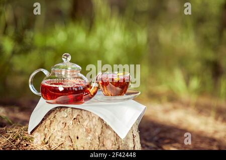 Une femme verse le thé d'une théière en verre dans une tasse en verre. Thé en plein air. Gros plan d'une coupe et d'une théière dans la nature en forêt Banque D'Images