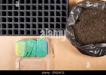 Cellules en plastique pour la culture de petites graines avec sol de semis dans le sac sur un plancher en bois. Banque D'Images