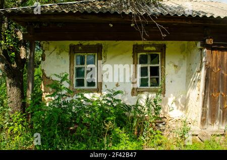Ancienne maison rustique en bois recouverte d'argile et peinte avec de l'argile blanche parmi les herbes de prairie à fleurs. Maison avec des murs en argile fissurés et un vent en bois Banque D'Images