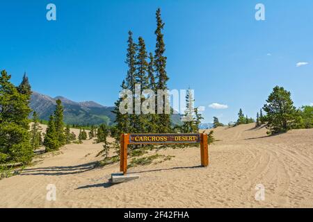 Canada, Yukon, désert de Carcross, dunes Banque D'Images