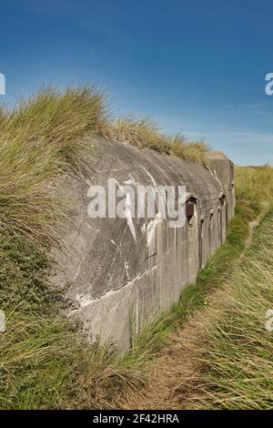 Bunker ruiné à la plage près de Houvig, Jutland, Danemark, herbage sur dun2 Banque D'Images