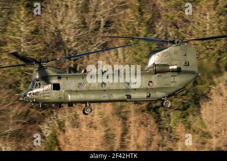 Chinook niveau bas dans la boucle Mach Banque D'Images