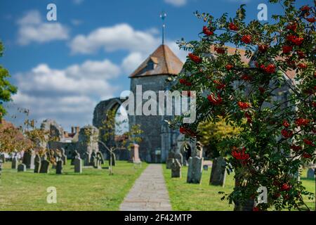 L'église paroissiale de St Thomas le Martyr à Winchelsea, East Sussex avec un arbre de Rowan au premier plan - photo de faible profondeur de champ Banque D'Images