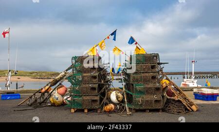 Pots de homard à amble Harbour, Northumberland Banque D'Images