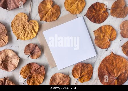 Feuilles d'automne colorées texturées jaune et marron éparpillées sur un fond blanc réglable avec une carte et une enveloppe pour l'espace de copie. Banque D'Images