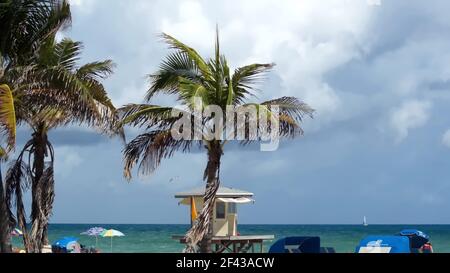 Palmiers au-dessus d'un stand de sauveteurs sur Dania Beach, fort Lauderdale, Floride, États-Unis Banque D'Images