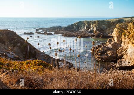 Les falaises près de Porto Covo dans l'Alentejo sur la côte de l'océan Atlantique, Portugal. Banque D'Images