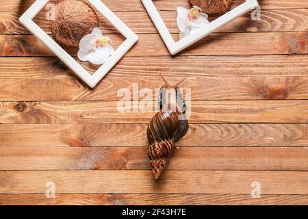 Escargot géant Achatina, fleurs et noix de coco sur fond de bois Banque D'Images