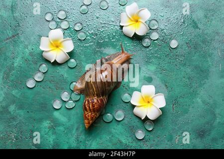 Escargot géant Achatina et fleurs sur fond de couleur Banque D'Images