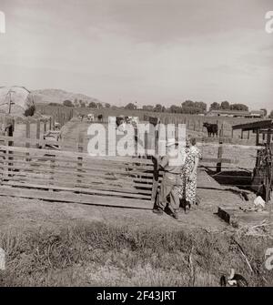 Réhabilitation rurale, comté de Tulare, Californie. Ce couple agricole a été aidé à l'indépendance. En février 1936, ils louaient une ferme négligée de quarante acres plantée en raisins. Ils n'avaient pas d'équipement, pas de stock, pas de semences, pas d'argent. La Farm Security Administration (FSA) a accordé un prêt de mille deux cent soixante et un dollars pour couvrir ces articles, et quatre mois de subsistance pour la famille. Aujourd'hui, le 1938 novembre, ils sont réimplantés dans une ferme diversifiée prospère, avec une récolte en espèces fournie par les vignobles, les vaches, les porcs et les porcs. Novembre 1938. Photo de Dorothea Lange. Banque D'Images