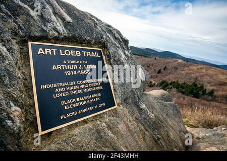 Plaque honorant Arthur Loeb sur le sentier Art Loeb sur Black Balsam Knob - Pisgah National Forest, Blue Ridge Parkway, près d'Asheville, Caroline du Nord, Banque D'Images