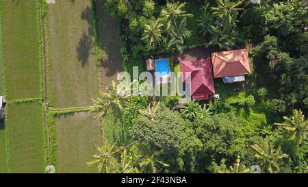 Vue aérienne d'un ricefield et de villas à Canggu au coucher du soleil, Bali Banque D'Images