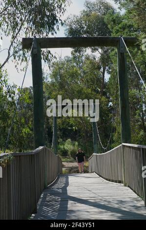 Un gros plan de l'ancien pont suspendu en bois au-dessus du sentier de Mullum Mullum Creek - avec un marcheur sur le point de traverser, lui donnant de l'échelle. Banque D'Images