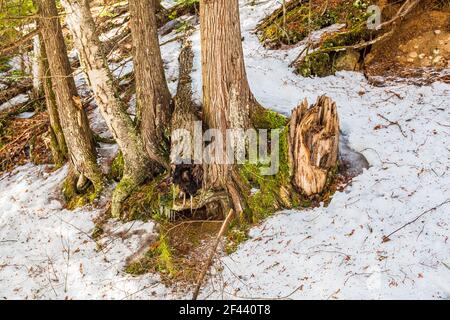 Egan Chutes conservation Area Haliburton County Bancroft Ontario Canada in hiver Banque D'Images