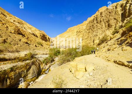 Ein Gedi, Israël - 13 mars 2021 : vue sur un sentier le long du ruisseau Arugot, avec des randonneurs, dans la réserve naturelle d'Ein Gedi, près de la mer Morte, est du Sud Banque D'Images